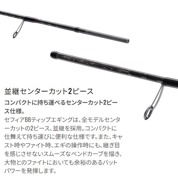 23　セフィア　BB　ティップエギング